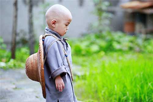 属鸡男孩取小名大全